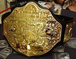 WWE World Heavyweight Championship