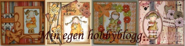 Min egen hobbyblogg
