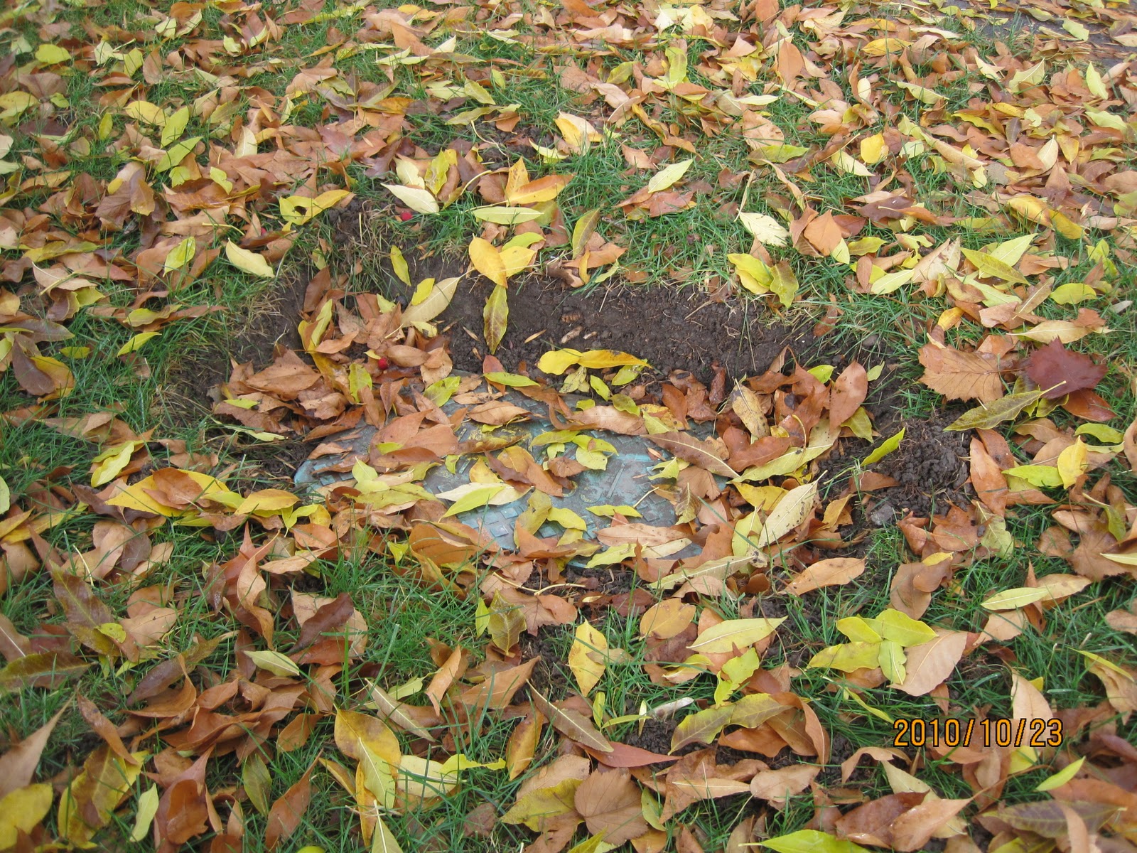 7 Sprinkler Valve Box Cover