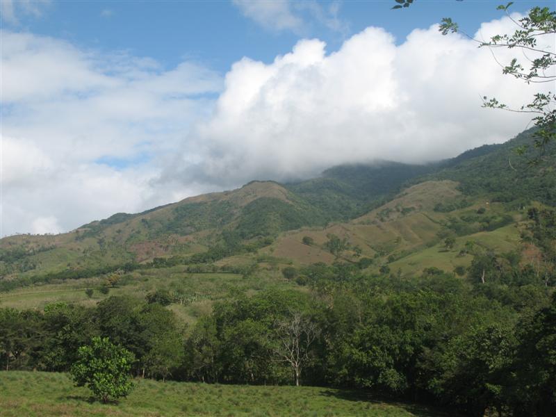 [IMG_0233+(Medium).JPG]