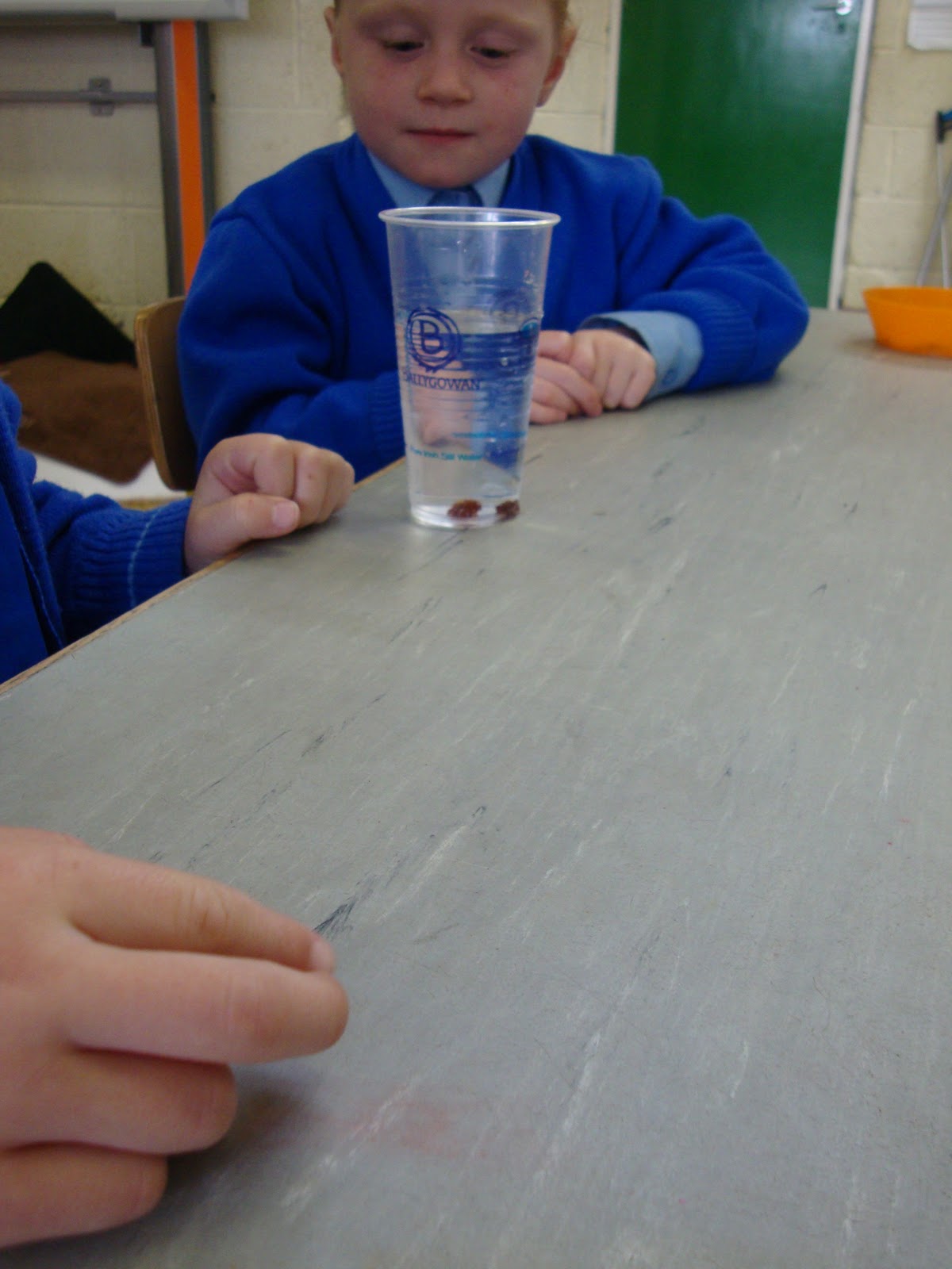 Science Projects Dancing Raisins, Junior Infants