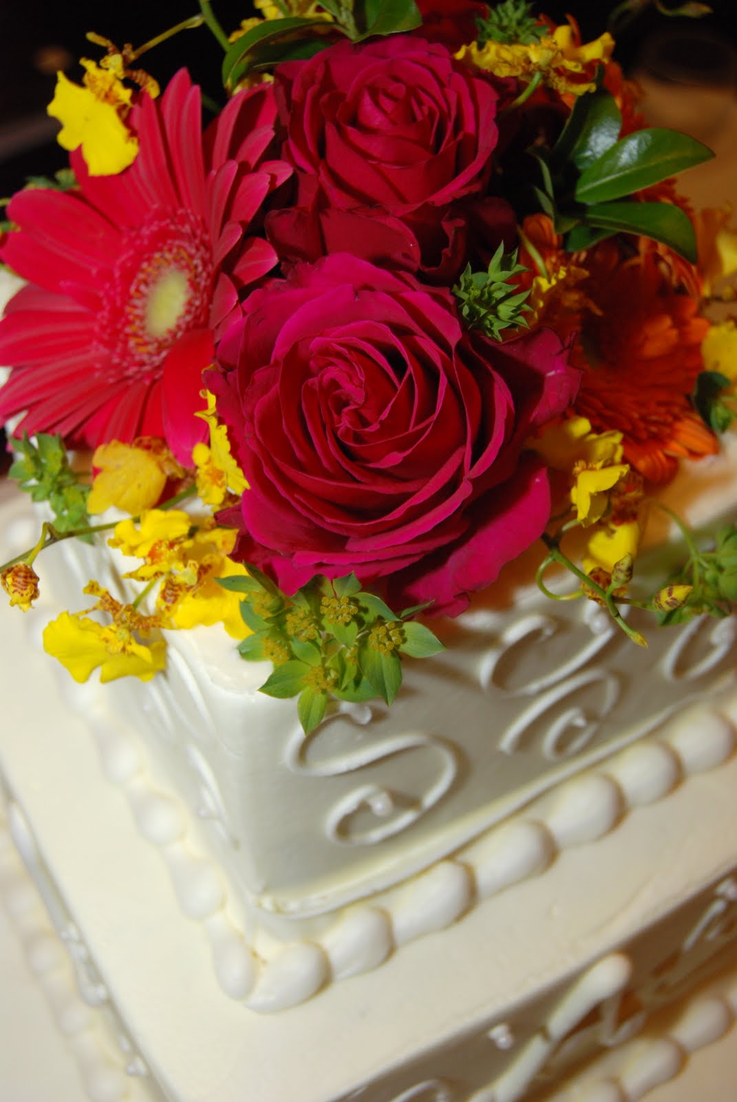 [DSC_0781.JPG]