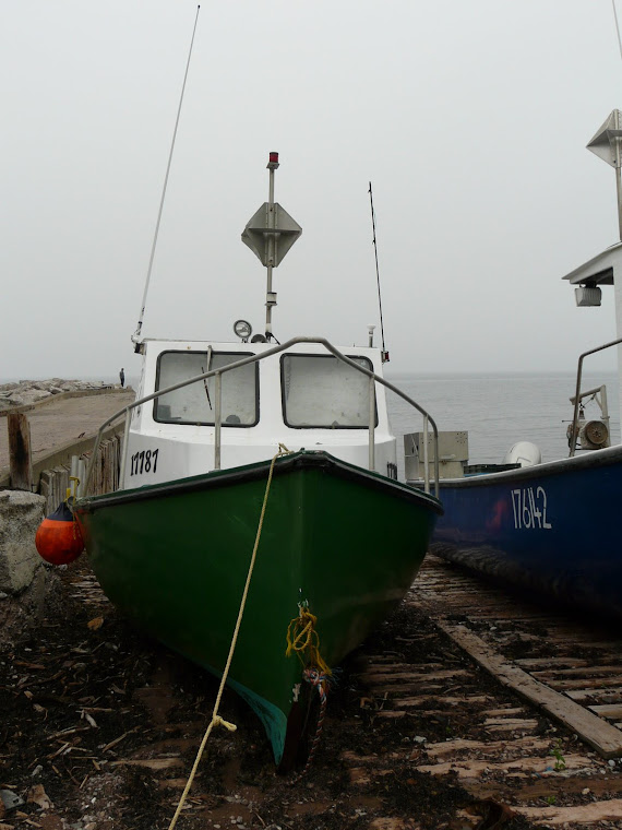 Wilma Duguay  Port Daniel Wharf  QC  Canada