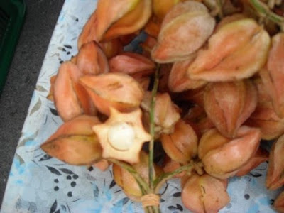 Can You Eat The Skin Of A Star Fruit