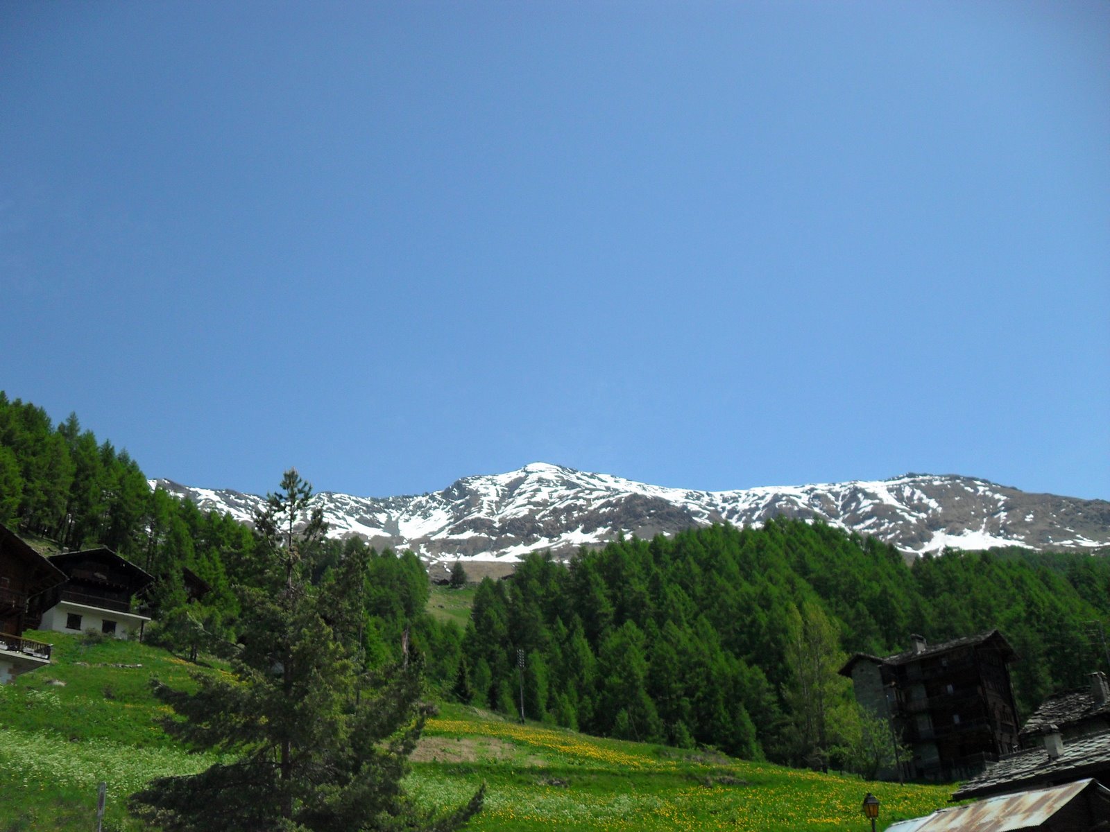 [SDC10663.JPG]