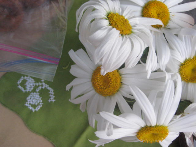 [IMG_5004.JPG]
