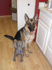 The canine kids