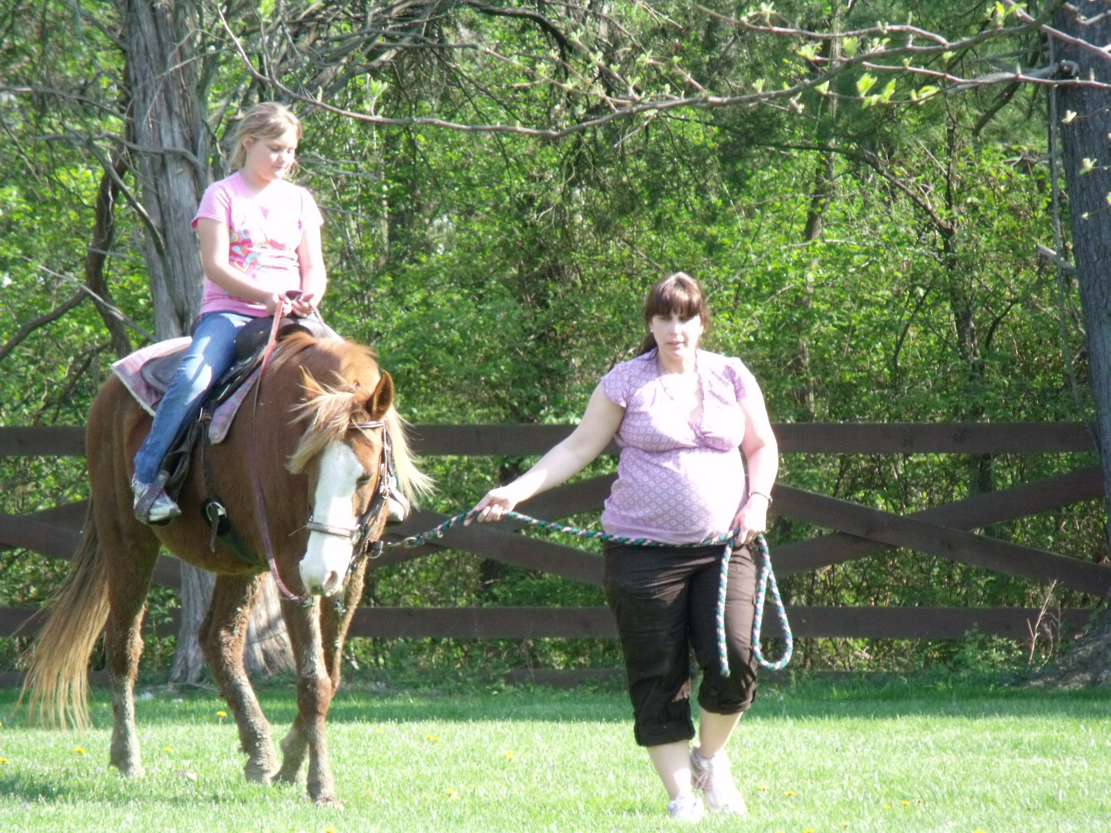 Pink Daisys Blog Horse Back Riding