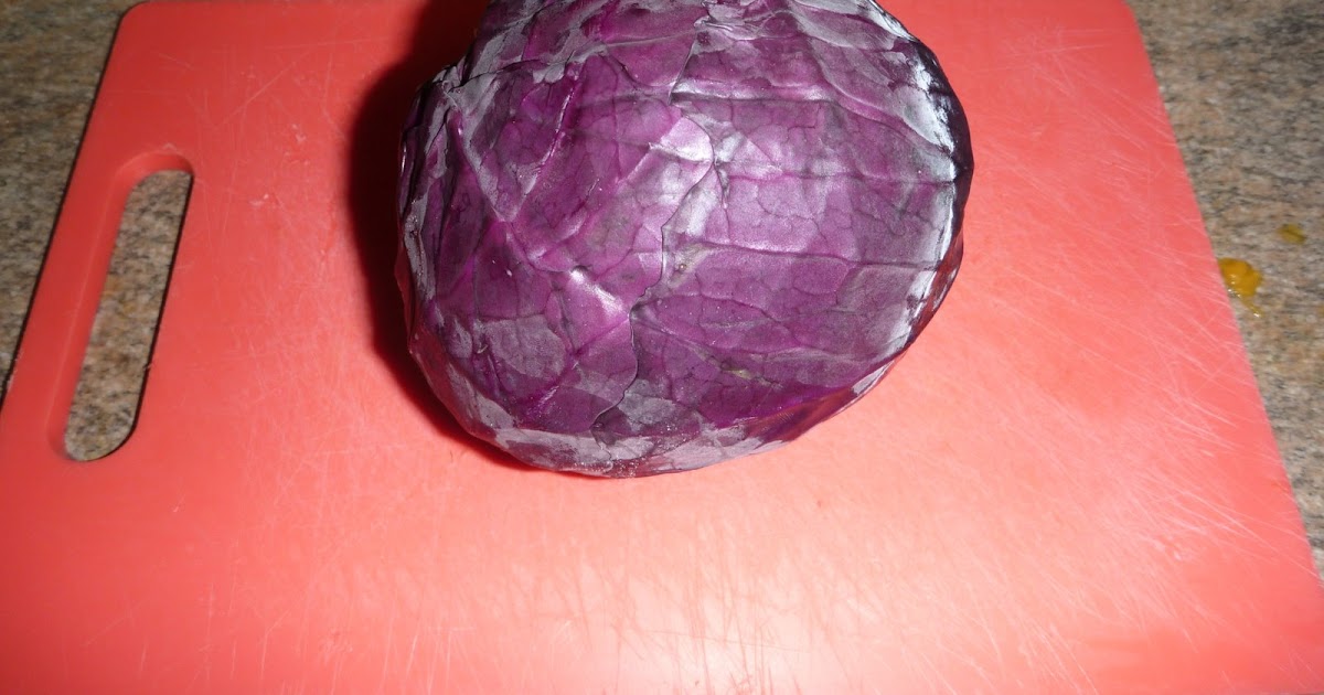 The Homeschool Den Experiment 13 Red Cabbage AcidBase Tests