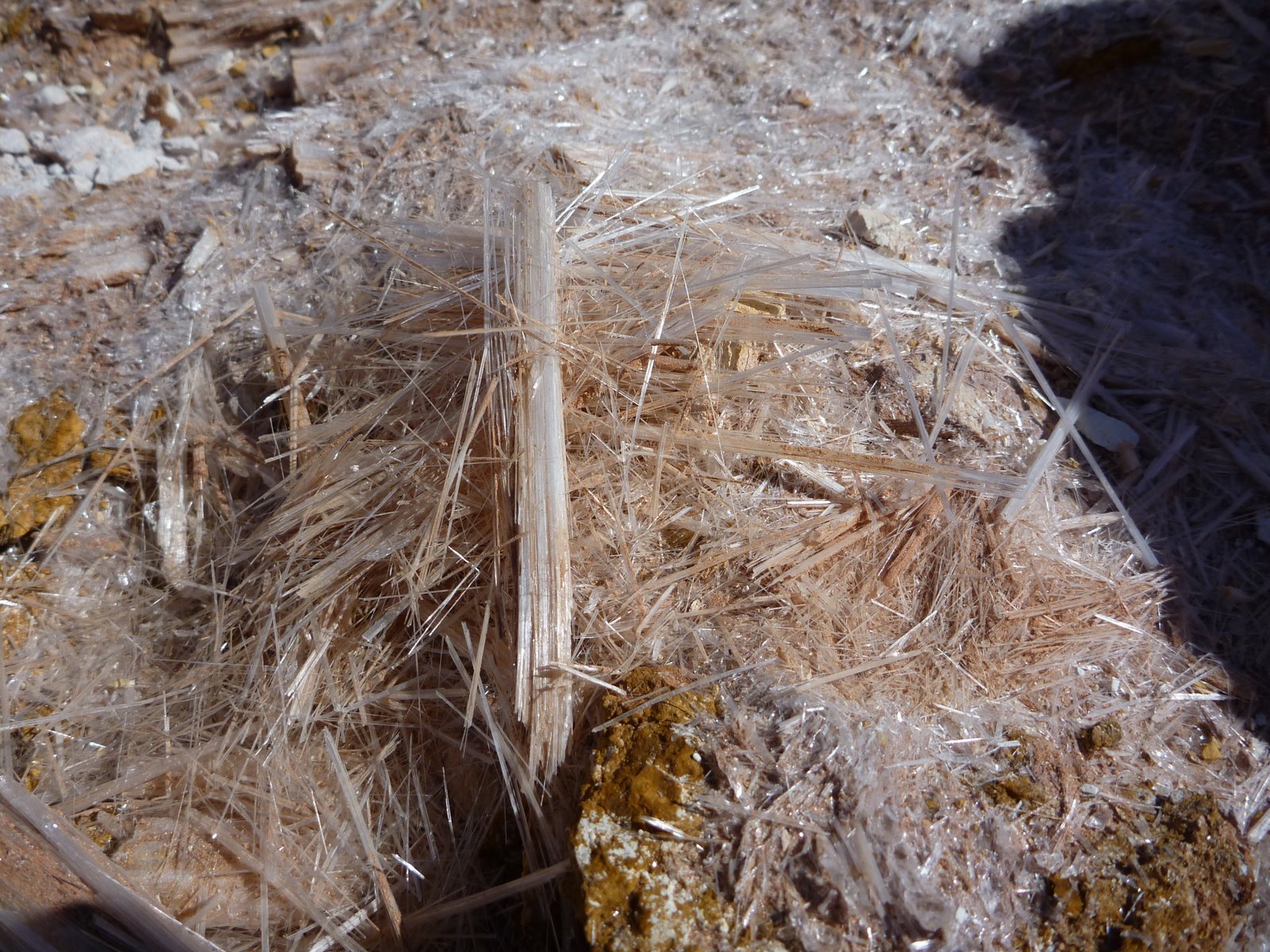 [P1000191.JPG]