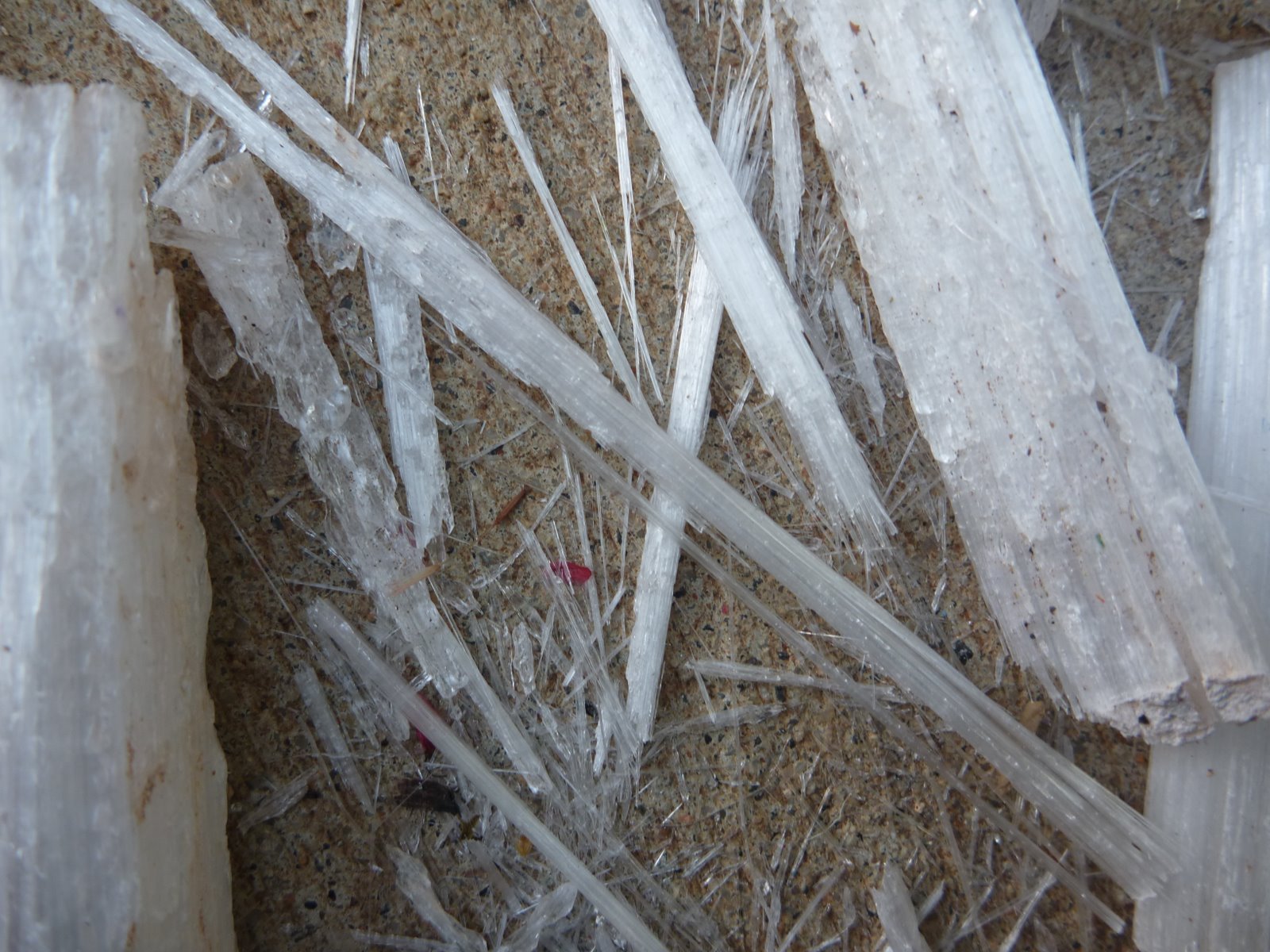 [p1010851.jpg]