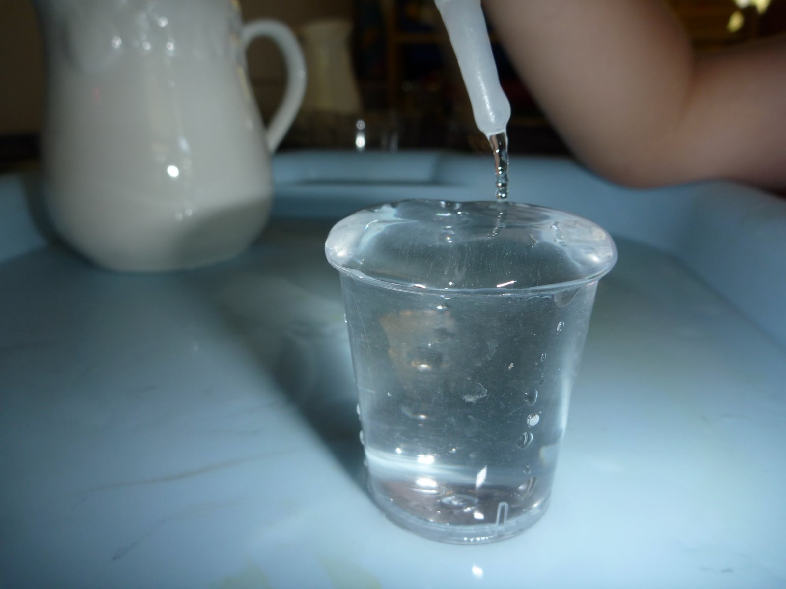 [P1020144.JPG]