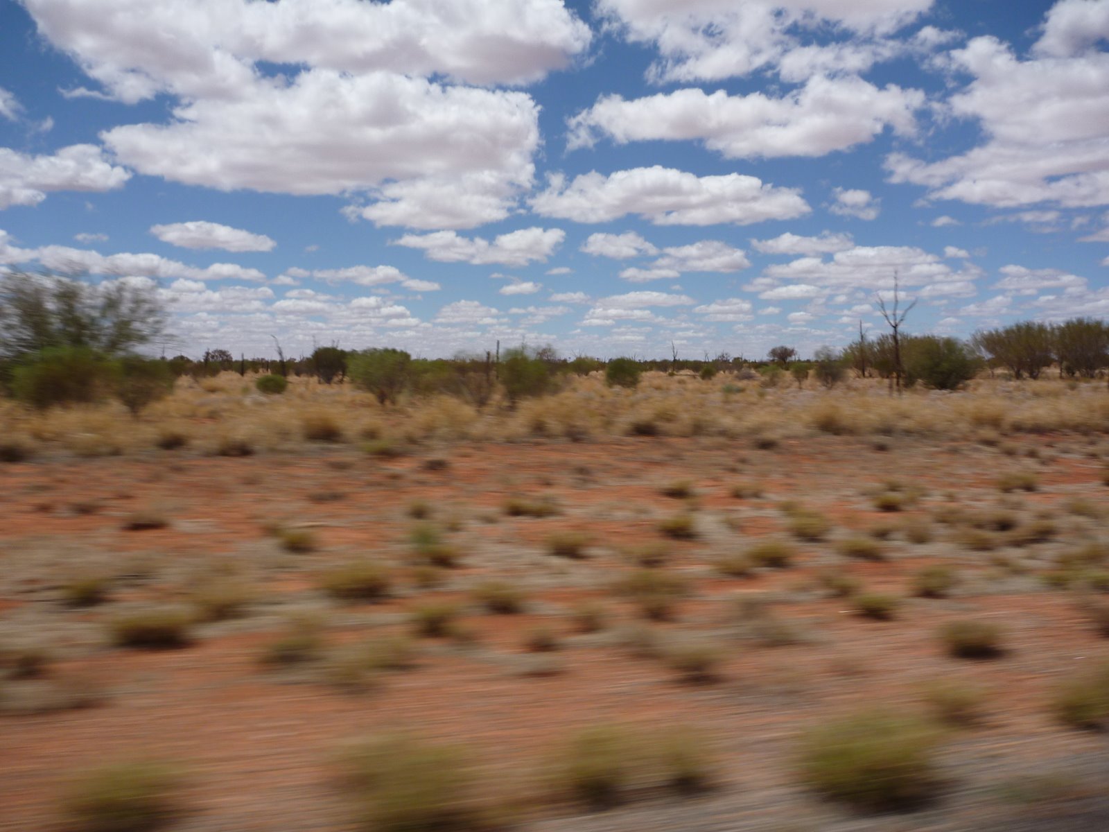 [P1000097.JPG]