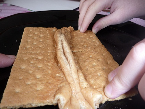 The Homeschool Den: Earth Science: Plate Movements & Earthquakes