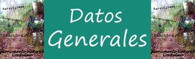 Información más detallada