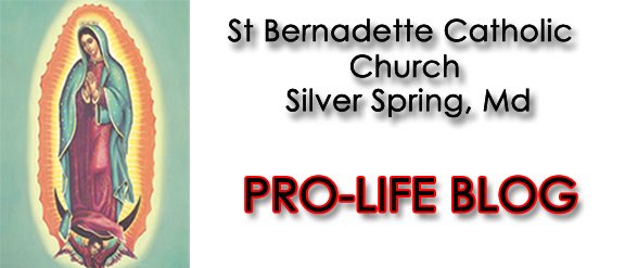 St. Bernadette Catholic Pro-Life Group