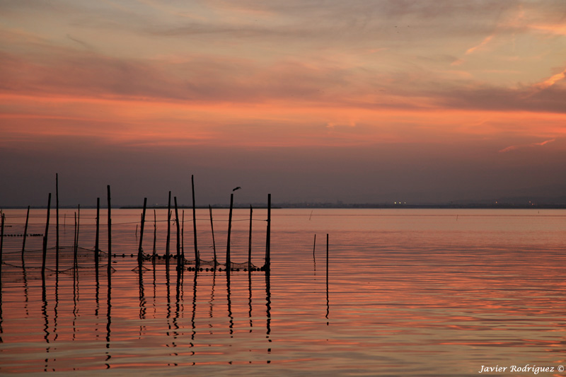 63 Otoño en la Albufera