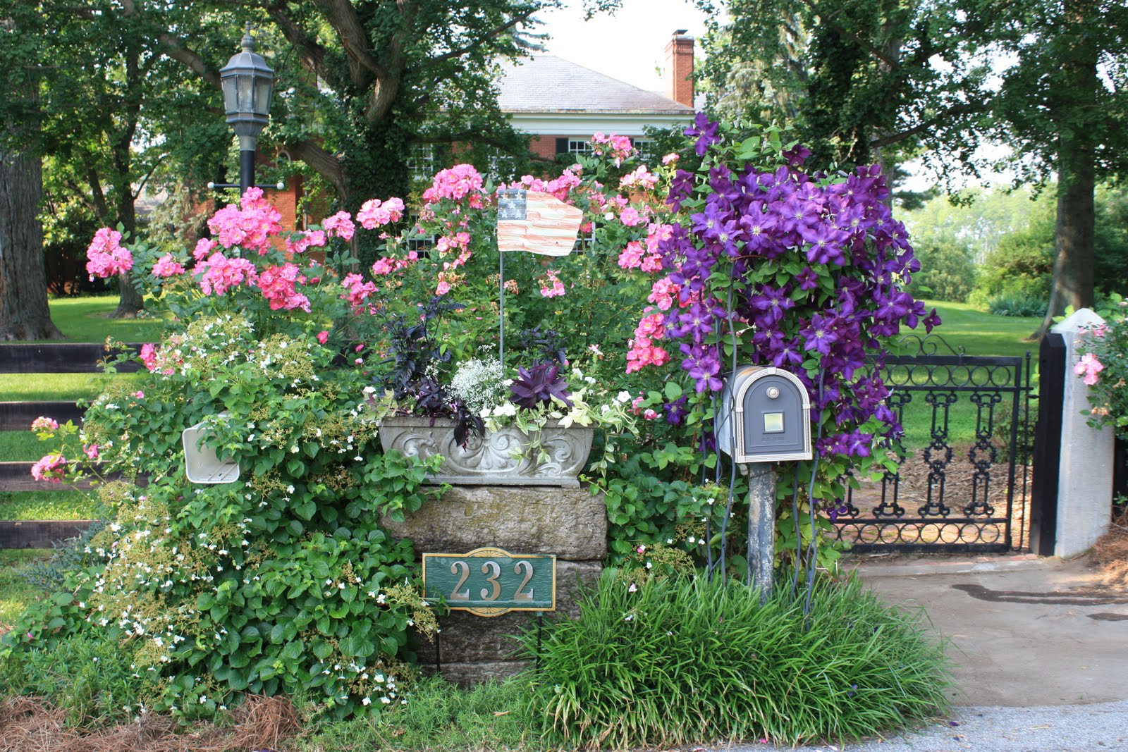 BASIL BECKY..... Gardening from the Heart Mailbox Gardens