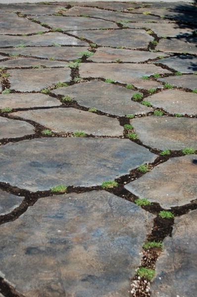 Scravings: Thyme Crunch--1 year later