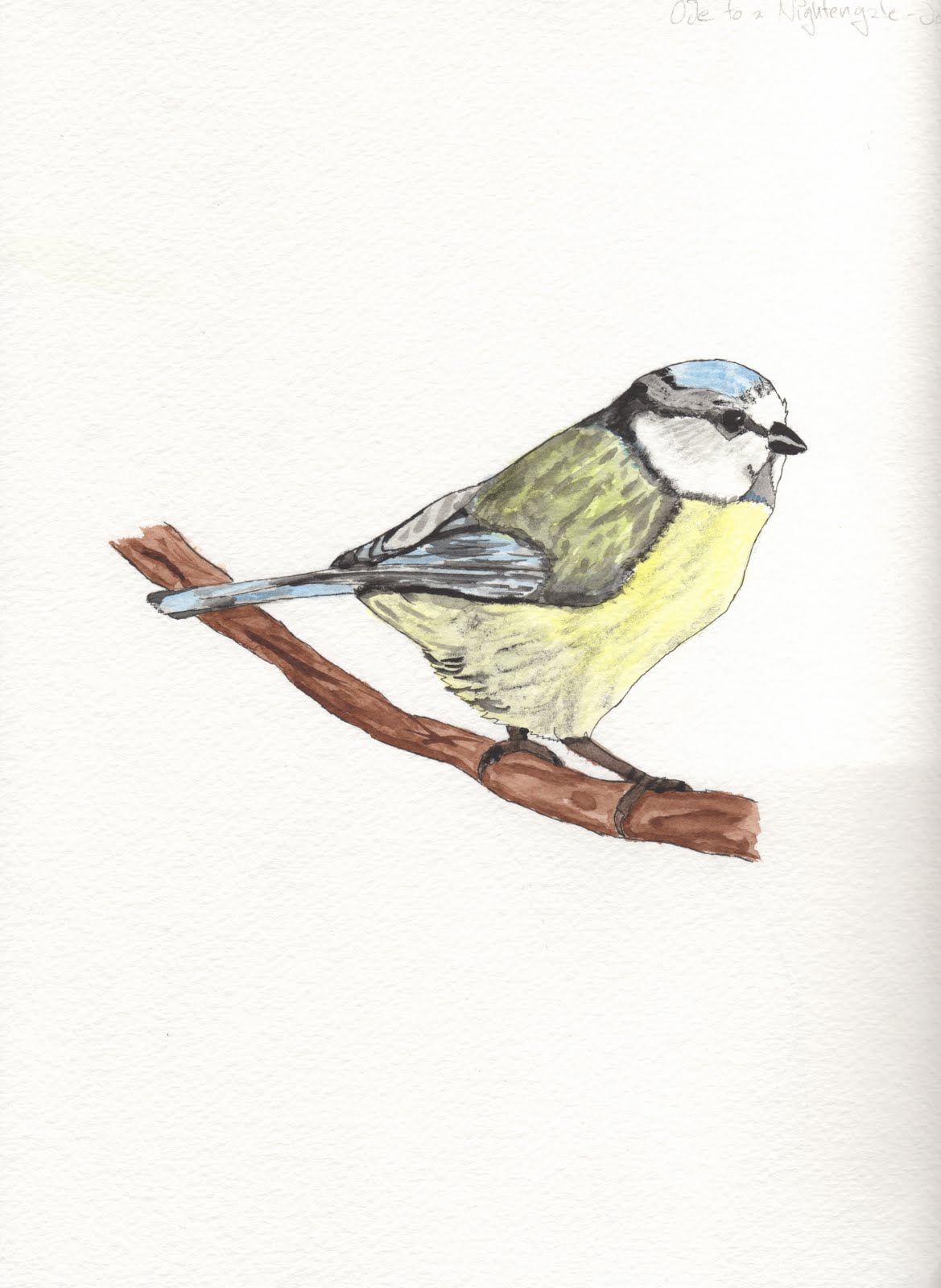 Ode to Nightingale Poem