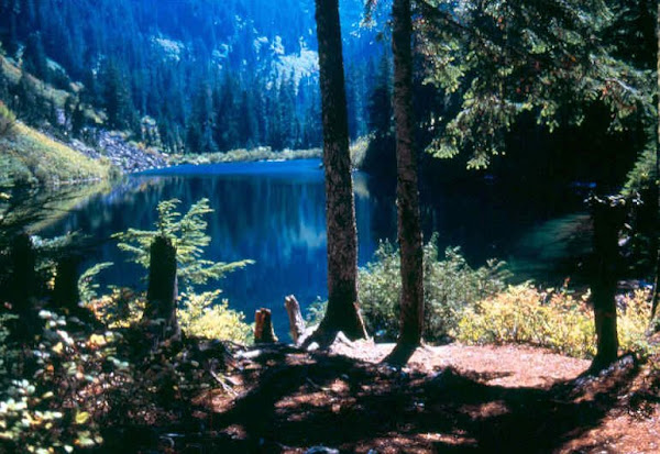 Mt Baker Snoqualmie National Forest