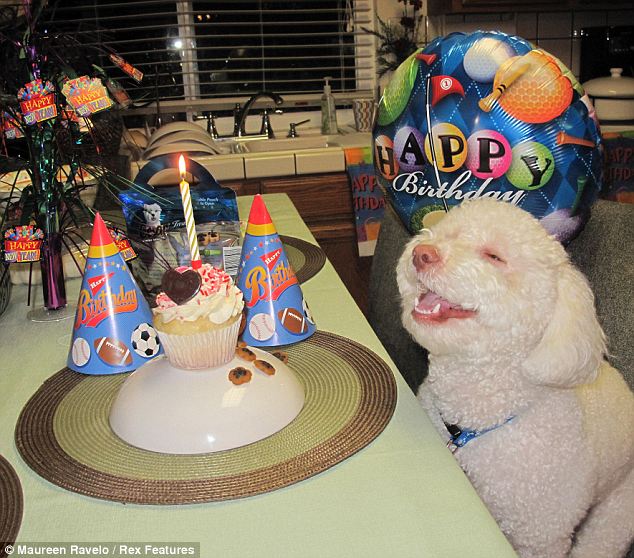 Raleys Free Cake Mix On Birthdah Raleys Free Cake Mix On Birthdah