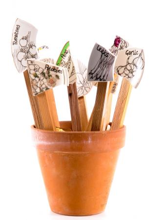 Seed Markers