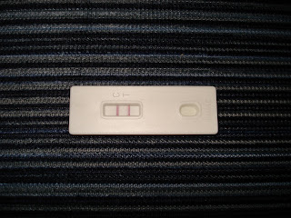 Pregnancy Test Photo