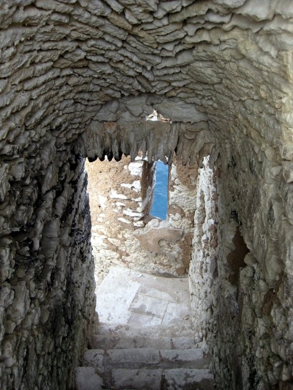 [Picture+036.JPG]