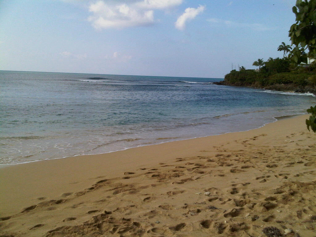 [=?utf-8?B?SU1HMDAxNDItMjAxMDAyMjgtMTUzNy5qcGc=?=-757197]