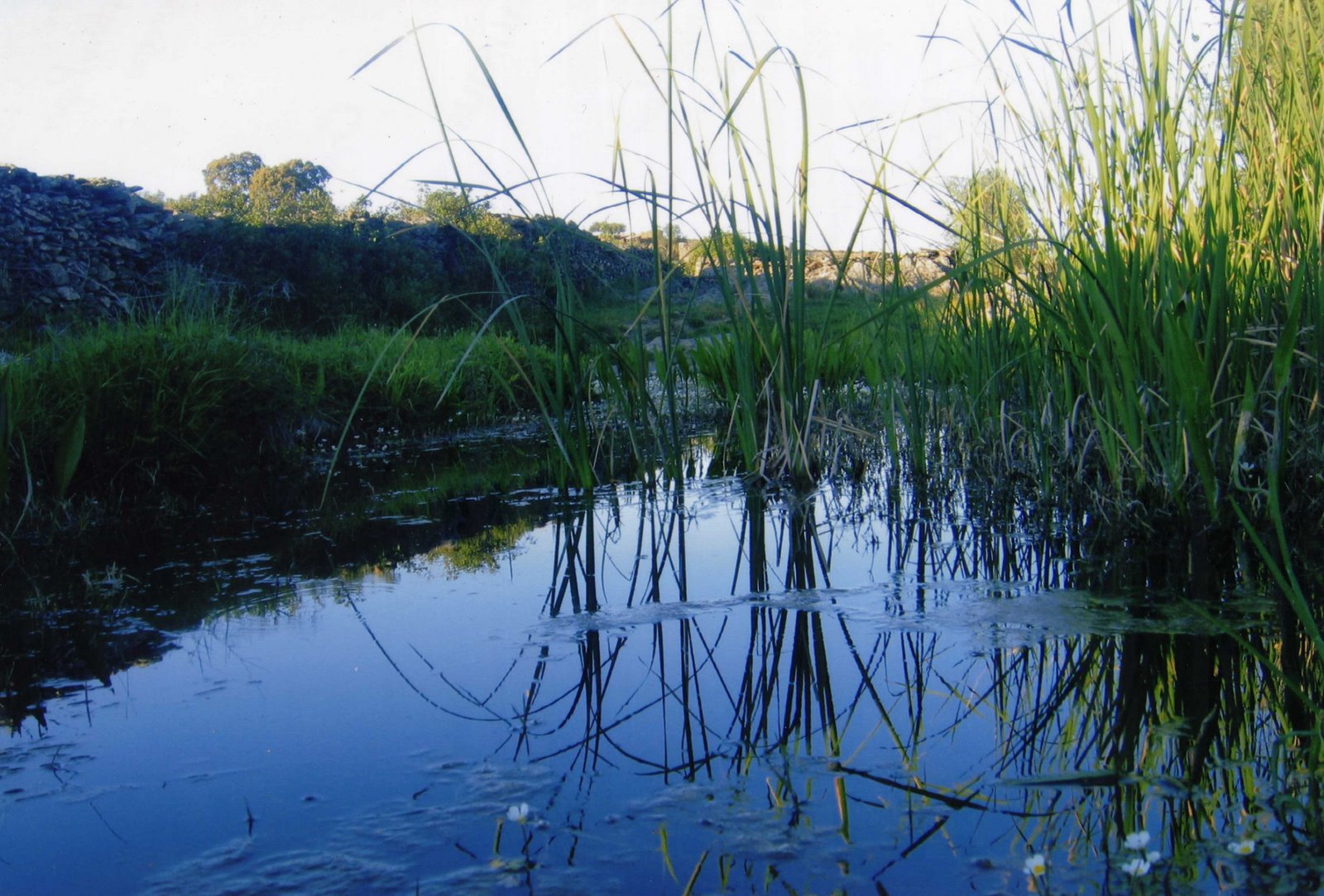 [4-AGUAS+DE+MONROBEL-ELVIRA+DIAZ+NEVADO.jpg]
