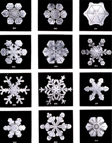 [multipleflakes.bmp]