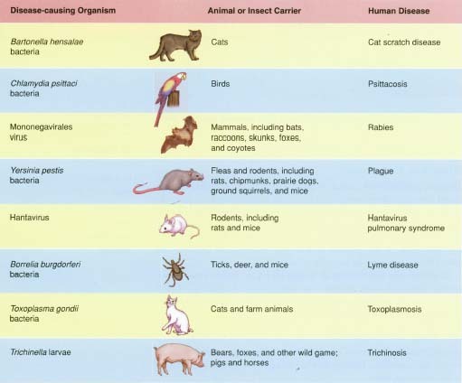 Imunologia em Animais Silvestres Zoonoses em animais silvestres