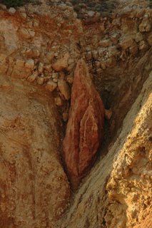 [terra...mulher.jpg]