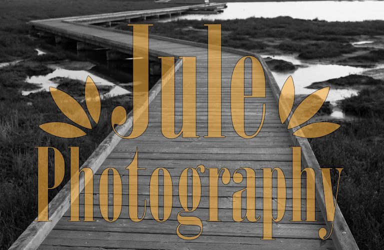 Jule Photography