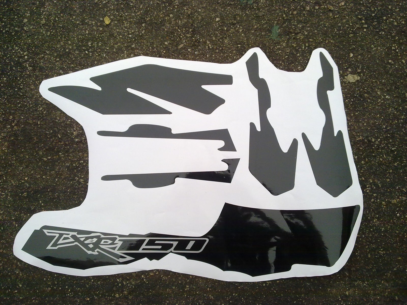 Panther Txr