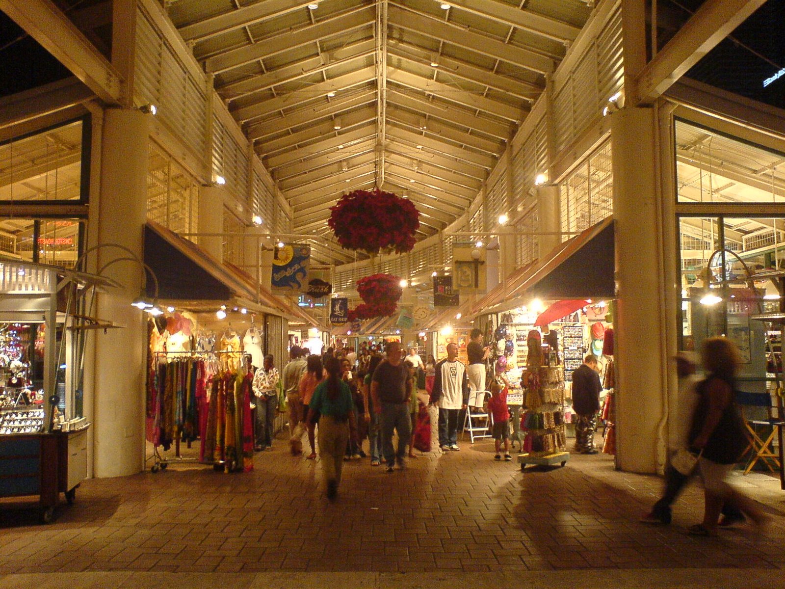 [DSC00499.JPG]