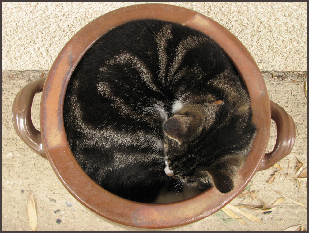 [18.06.07CP.jpg]
