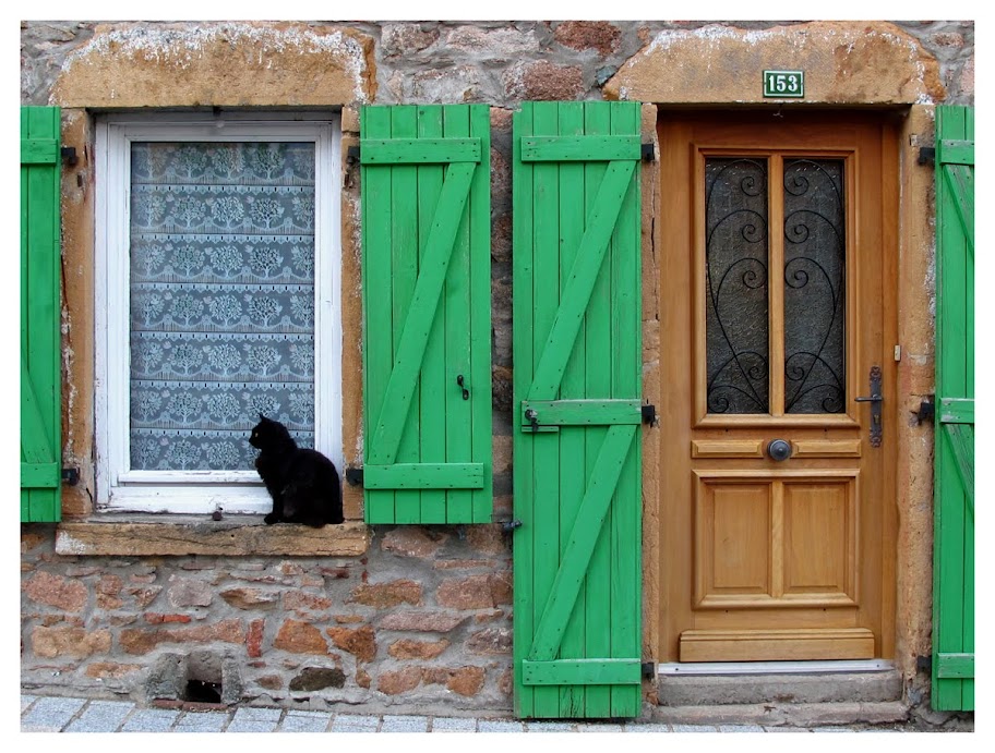 le chat noir