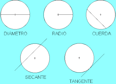 Partes Del Circulo