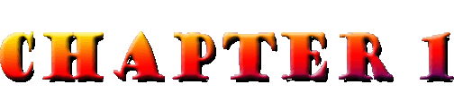 Chapter 1