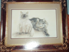 Maroo's Cats