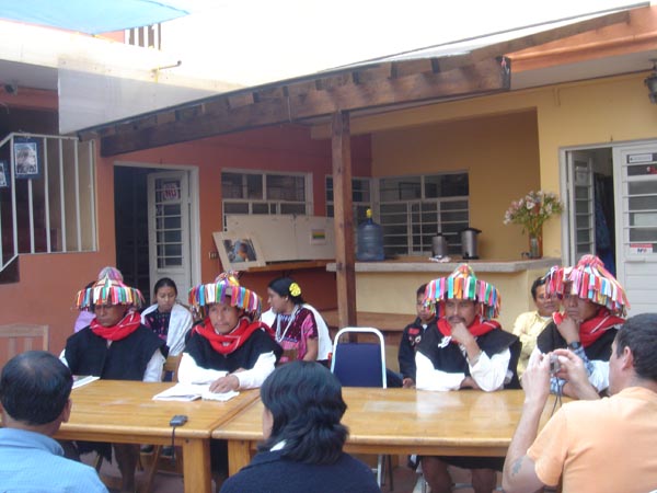 [conferencia+abejas2.JPG]