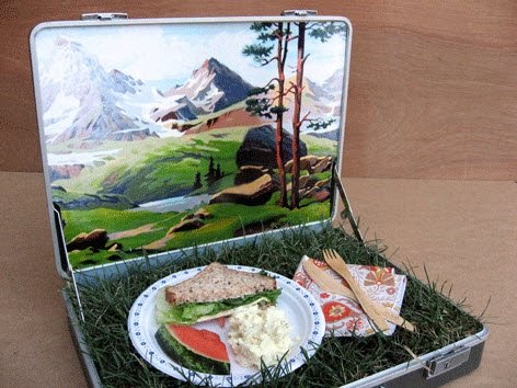 Sharon Loves This: picnic lunch box