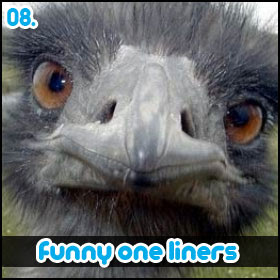 08 funny one liners short quotes http twitter com funnyoneliners