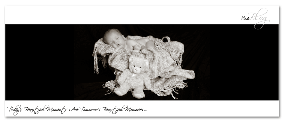 Jenn Walters Photography - Eastern Shore of Maryland Newborn Portrait Photographer