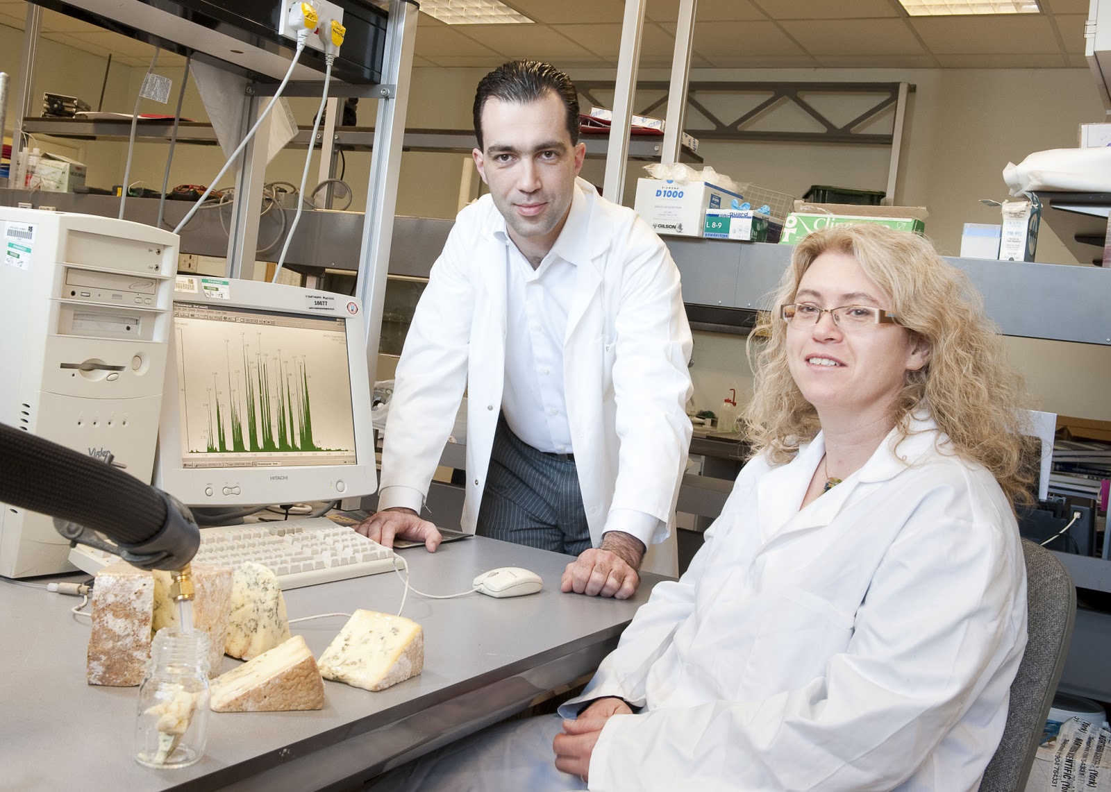 Blue cheese under the microscope thanks to Food and Drink