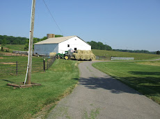 Our Farm