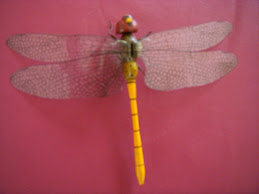 I Love Dragonflies