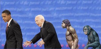 [mccainevolution.jpg]